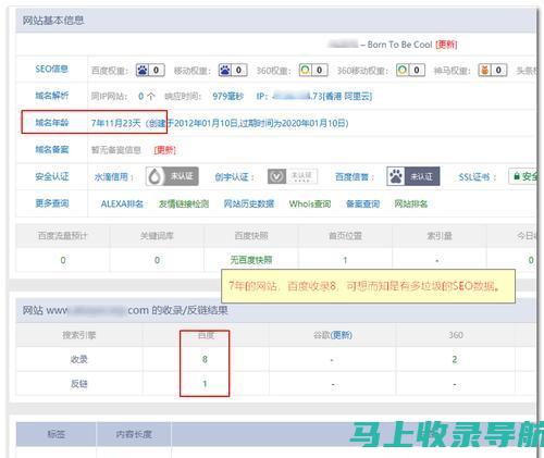 网站数据分析师必备技能：使用站长统计工具的高级技巧